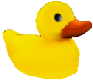 Anomalousduck