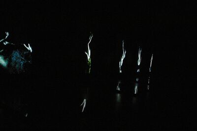 Stations Bill Viola 1994-730