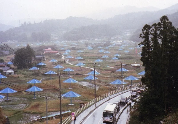 Umbrella Project1991 10 27