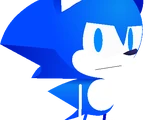 Sonic.IRS