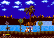 TheHills7.png (26 KB) Tails looking at Sonic.