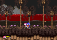 Peacefulhill12.png (37 KB) "Sonic" staring at the player.
