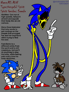RE-RUN's reference sheet.