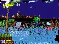 "Sonic" appears, the level glitches out.