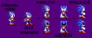 CrimtakeTimeline.png (381 KB) A timeline of events for Sentic, alongside an evolution of his design.