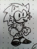 HD (Hoggified DX)
