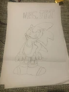 Another Design based on the Adventures Of Sonic The Hedgehog design that was changed for being too goofy.