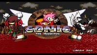 Amy’s title screen. Note that the corrupted versions of Tails and Knuckles are present too.