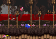 Peacefulhill10.png (38 KB) "Sonic" kills Amy with a roll.(1)