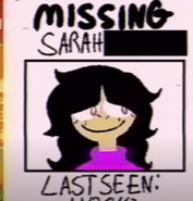 Sarah's missing poster