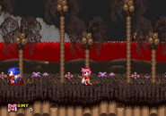 Peacefulhill7.png (38 KB) Amy encounters Sonic.(2)
