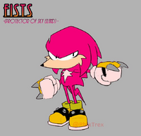 Fists (Hoggified Knuckles)
