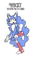 Wacky's appearance after escaping Sonic Mania.