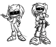 Sonicas Old n New design.jpg (74 KB) Redraw of Sonica.KRS, (left) and a potential re-design for her (right). Drawn by minagacha