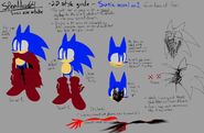 A semi-old ref sheet of S0NIC