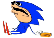 Shinic as he appears in Sonic the Hedgehog (Anim)
