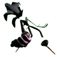 Bacteria sonic 2nd apperance, the pose referencing to silly billy