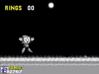 Sonic dies once more, after losing his final ring.