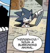 Memes.png (580 KB) "Hedgehog." Noun. A burrowing animal