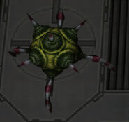 Neo Contra