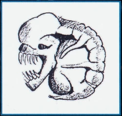 Bundle concept sketch for Contra from the Contra Chronicle Vol.2 booklet.