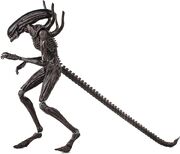 Xenomorph - Alien - 01