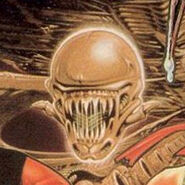 Java on the Contra cover artwork.