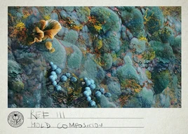 Ref III Mold Composition