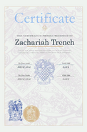 Framed wall diploma
