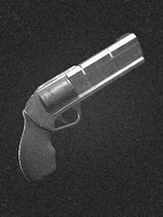 Service Weapon Case File image