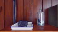 Black rock and container with mold