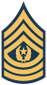 Command Sergeant Major