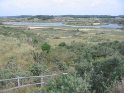 Dunes of Idunna