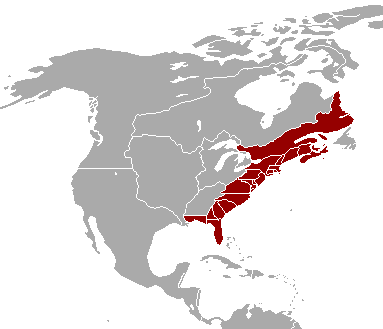 Map Of British America The United Colonies Of Eastern British America | Constructed Worlds Wiki |  Fandom