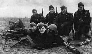 Nordish volunteer defence forces in 1940