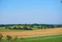 The Southern regio's are mostly used for agriculture.