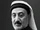 Abed Al-Ghazawi (Puppet World)