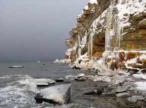 North-Baltish Klint at Packer Peninsula in Rogerwick (24 m).