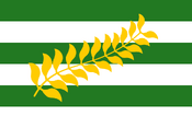 Wreseon flag NR