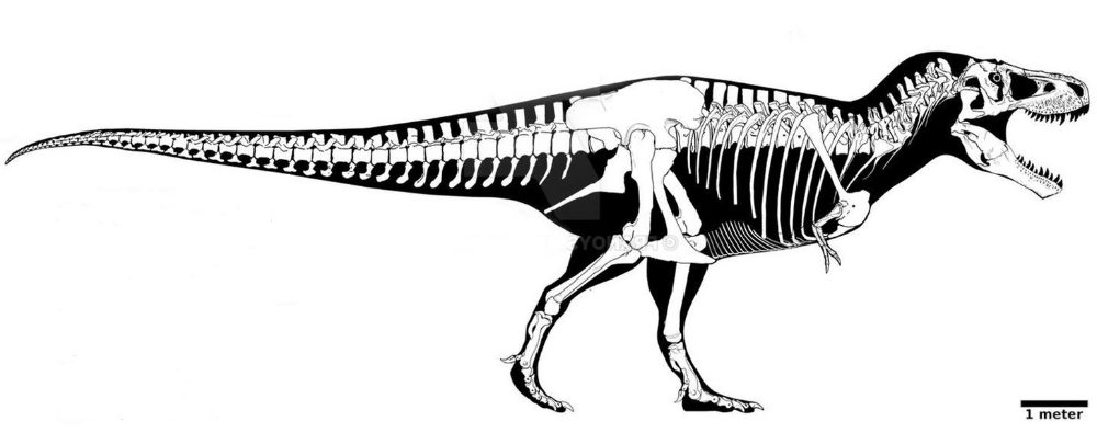 Tyrannosaurus Deus | Constructed Worlds Wiki | Fandom