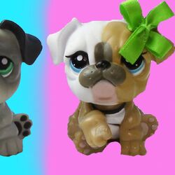 Cookie swirl c puppy clearance