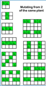 Mutation setup1