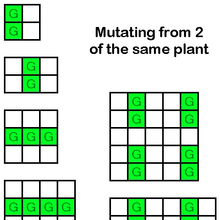 ベスト Cookie Clicker Garden Mutation Guide Cookie Clicker Garden Mutation Chart