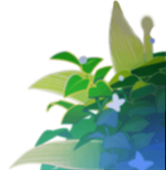 Gacha Illustration Asset