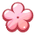 Cherry flower