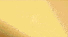 Animated Introduction