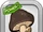 Big Head Mushroom