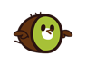 Kiwi Bird