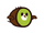 Kiwi Bird