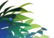 Gacha Illustration Asset